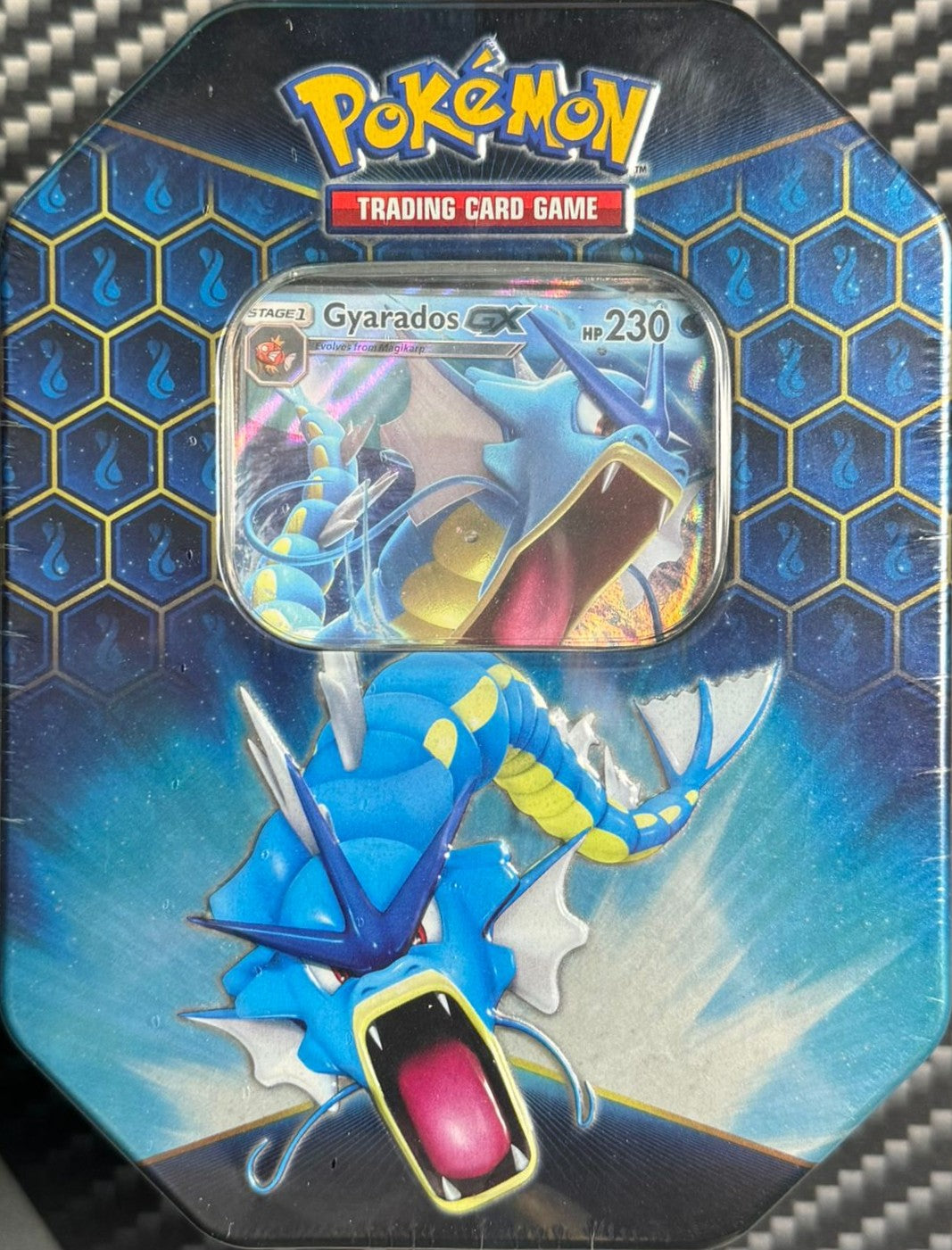 Hidden Fates Tin-Box (Gyarados) 1. Print